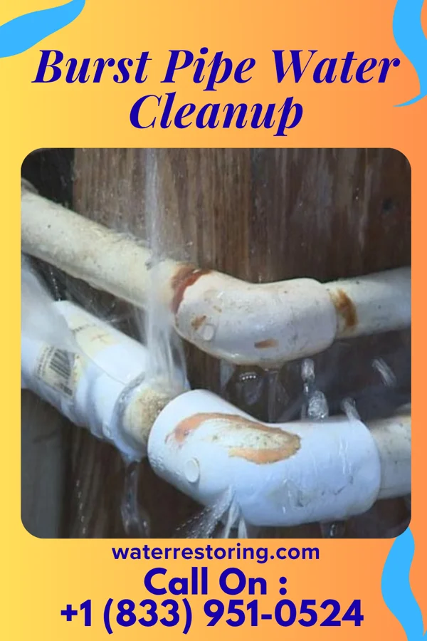 Burst Pipe Water Cleanup in Avalon, NJ