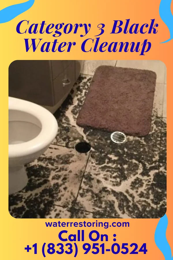 Category 3 Black Water Cleanup in Avalon, NJ