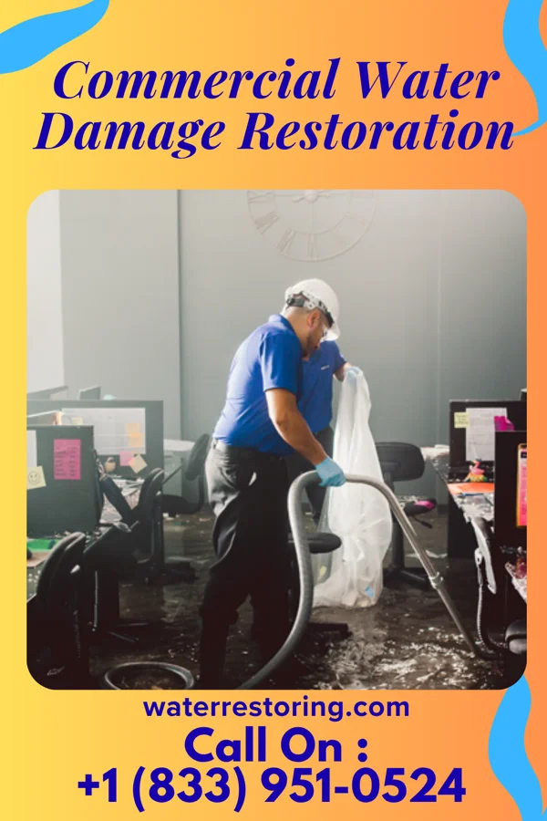 Commercial Water Damage Restoration in Avalon, NJ
