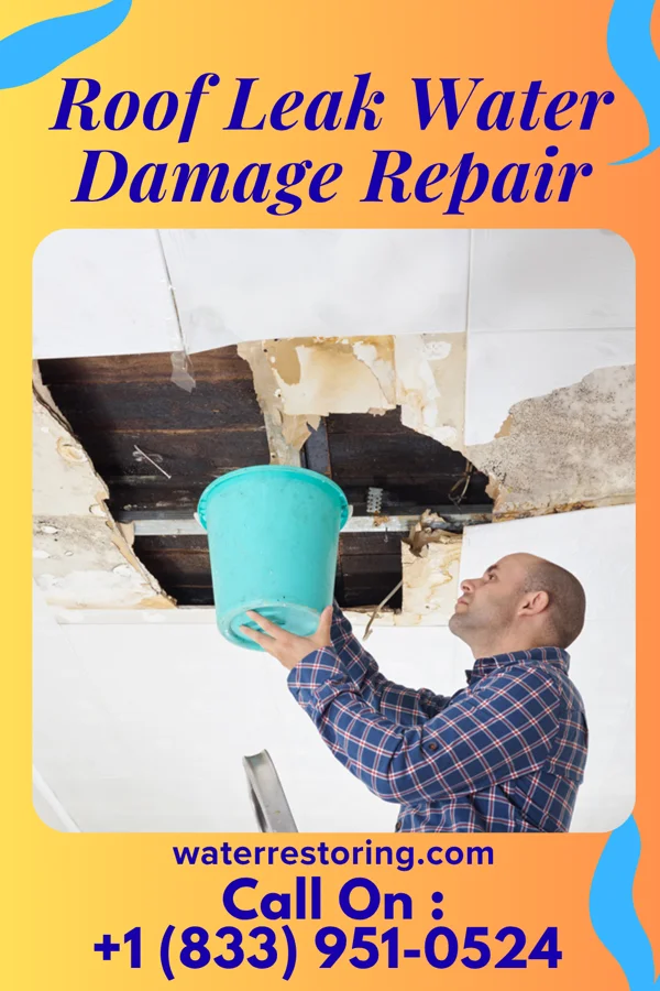 Roof Leak Water Damage Repair in Avalon, NJ