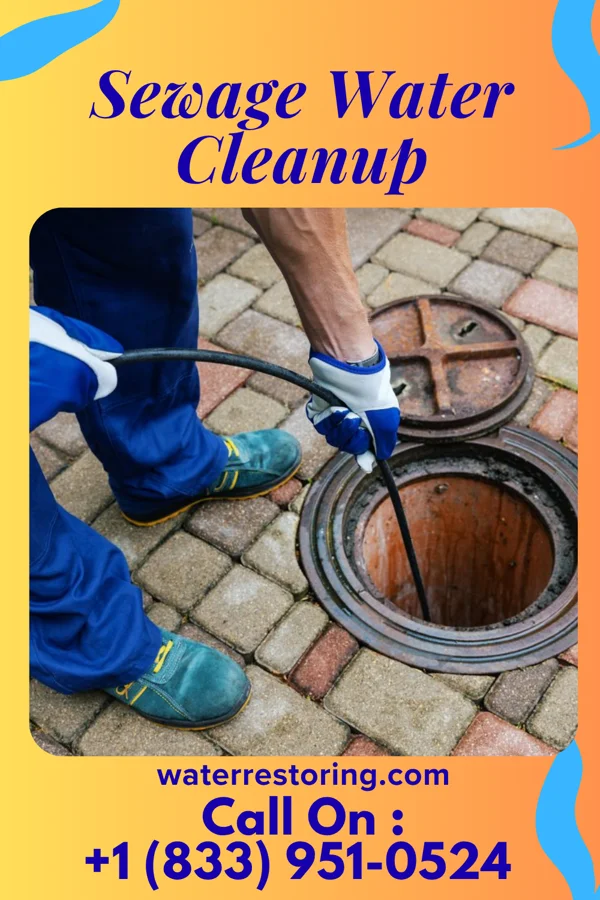 Sewage Water Cleanup in Avalon, NJ