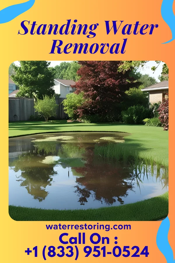 Standing Water Removal in Avalon, NJ